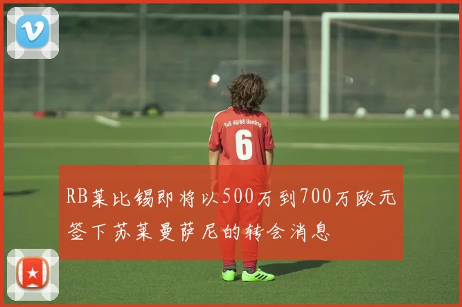 RB莱比锡即将以500万到700万欧元签下苏莱曼萨尼的转会消息